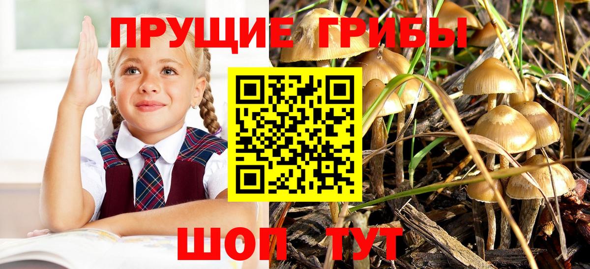 Псилоцибиновые грибы мицелий Алапаевск