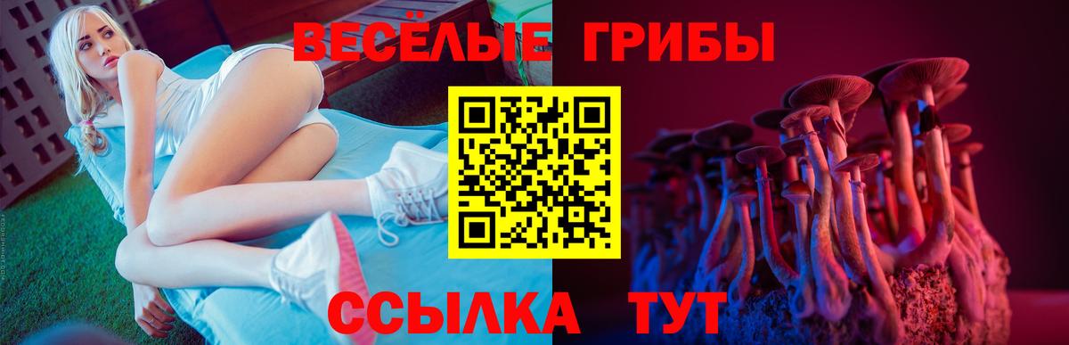 Галлюциногенные грибы MAGIC MUSHROOMS  Псилоцибиновые грибы прущие грибы  Вход с VPN  Алапаевск 
